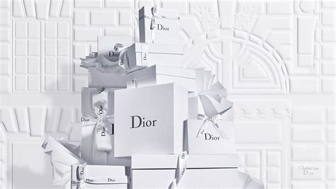 dior diseños|website dior.